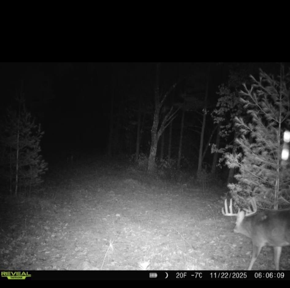 699 County Rd J Friendship, WI 53934 - Photo 7 of 65