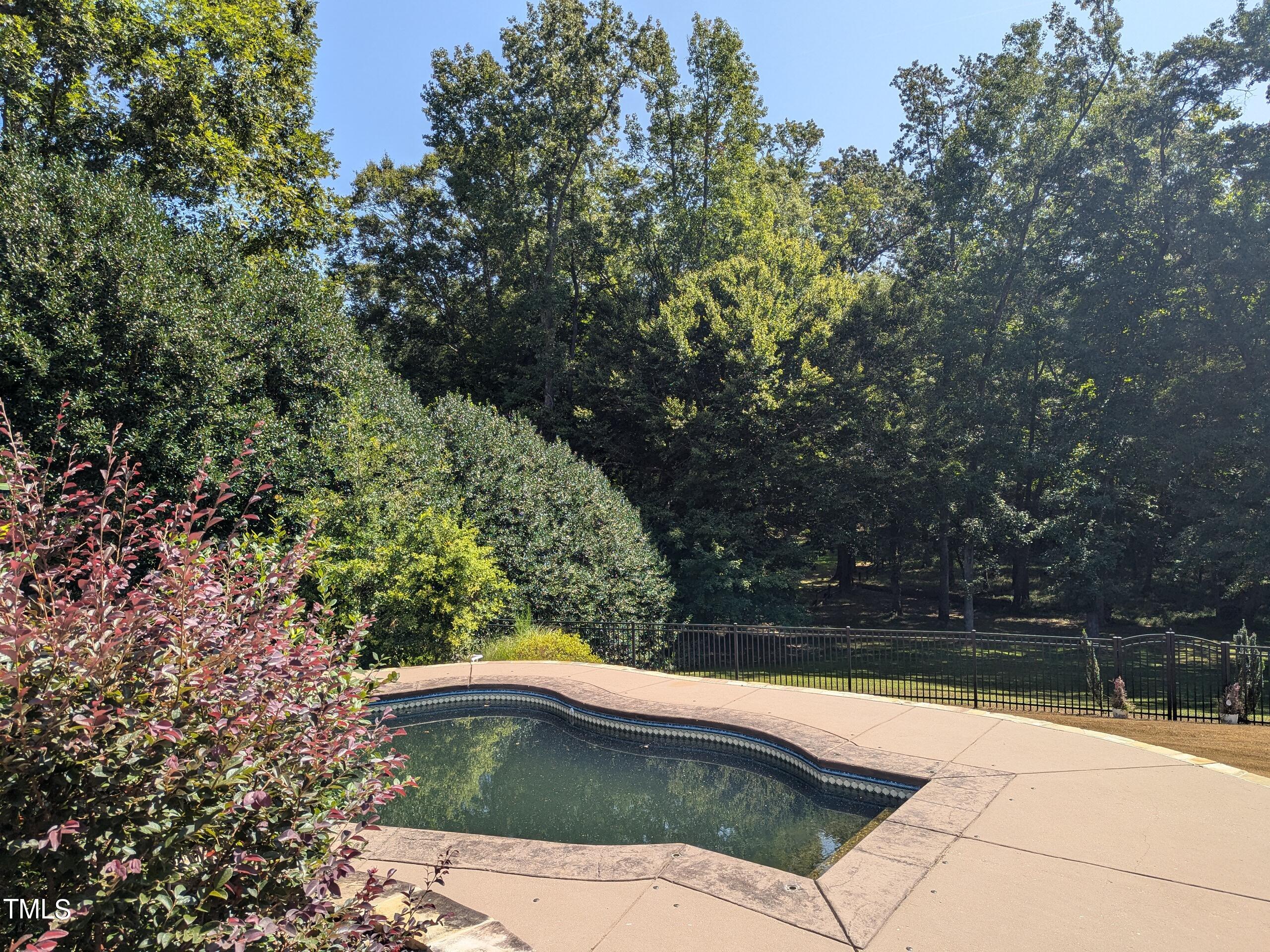 151 Michael Way Clayton, NC 27520 - Photo 31 of 36 a view of swimming pool with large trees