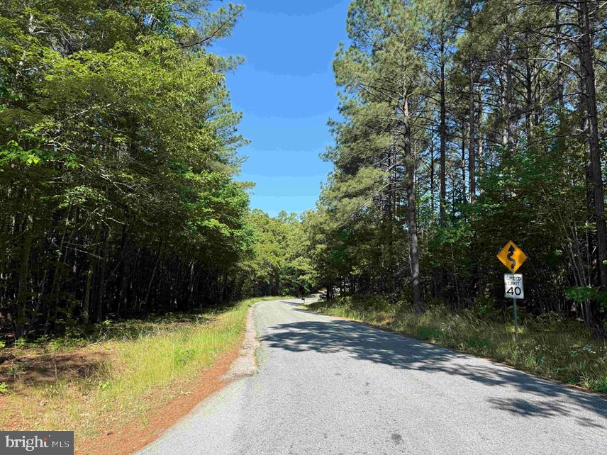Brandy Creek Road Emporia, VA 23847 - Photo 14 of 15