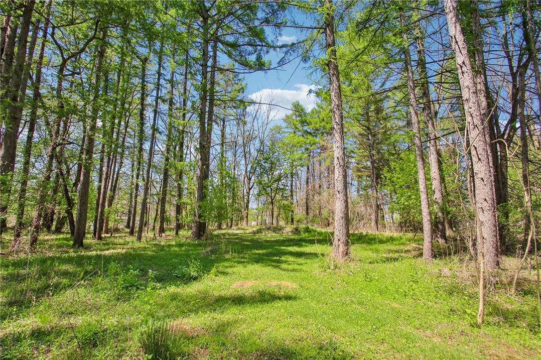 44 Crescent Hill Road Perinton, NY 14534 - Photo 42 of 50