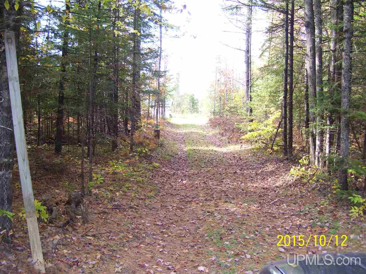 15007 Co Road Rapid River, MI 49878 - Photo 15 of 15