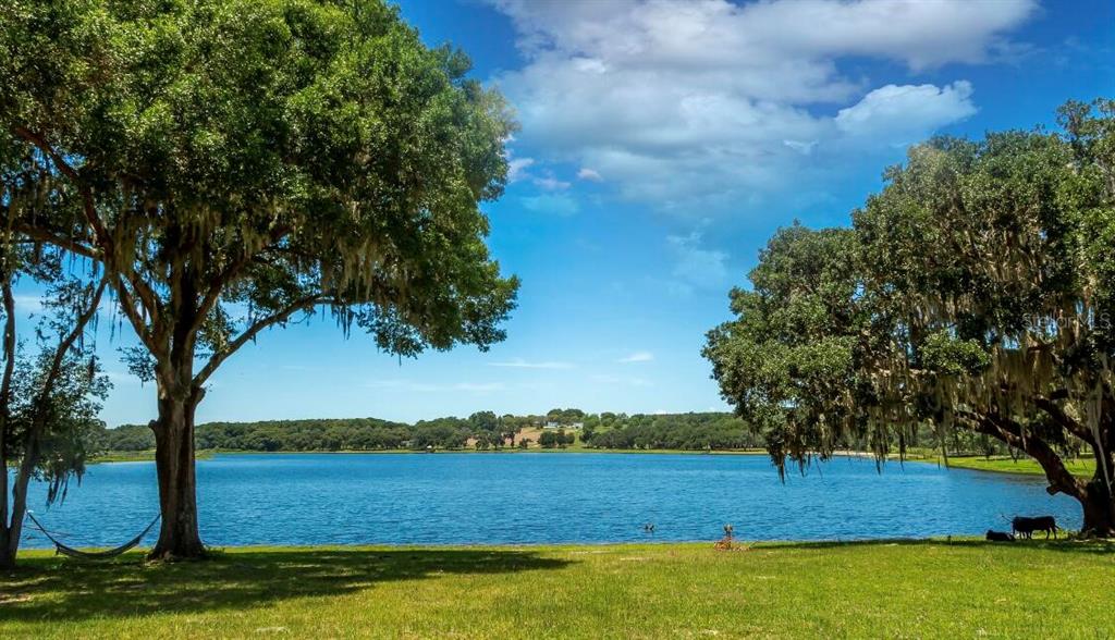 34710 Clayton Road Dade City, FL 33523 - Photo 3 of 17 a view of lake with mountain in the background