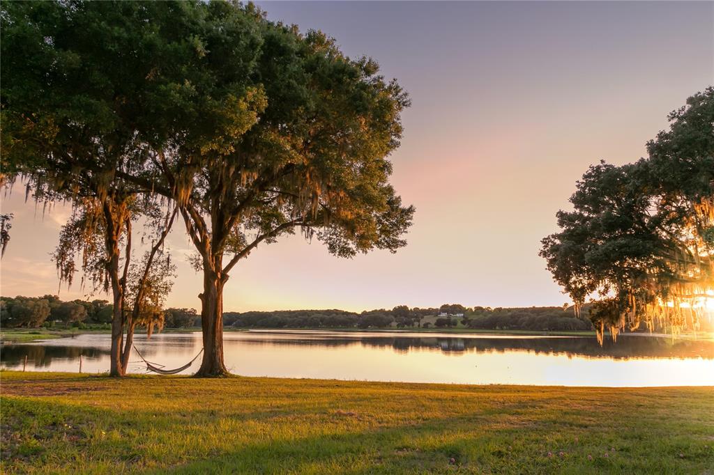 34710 Clayton Road Dade City, FL 33523 - Photo 4 of 17 a view of lake with green space