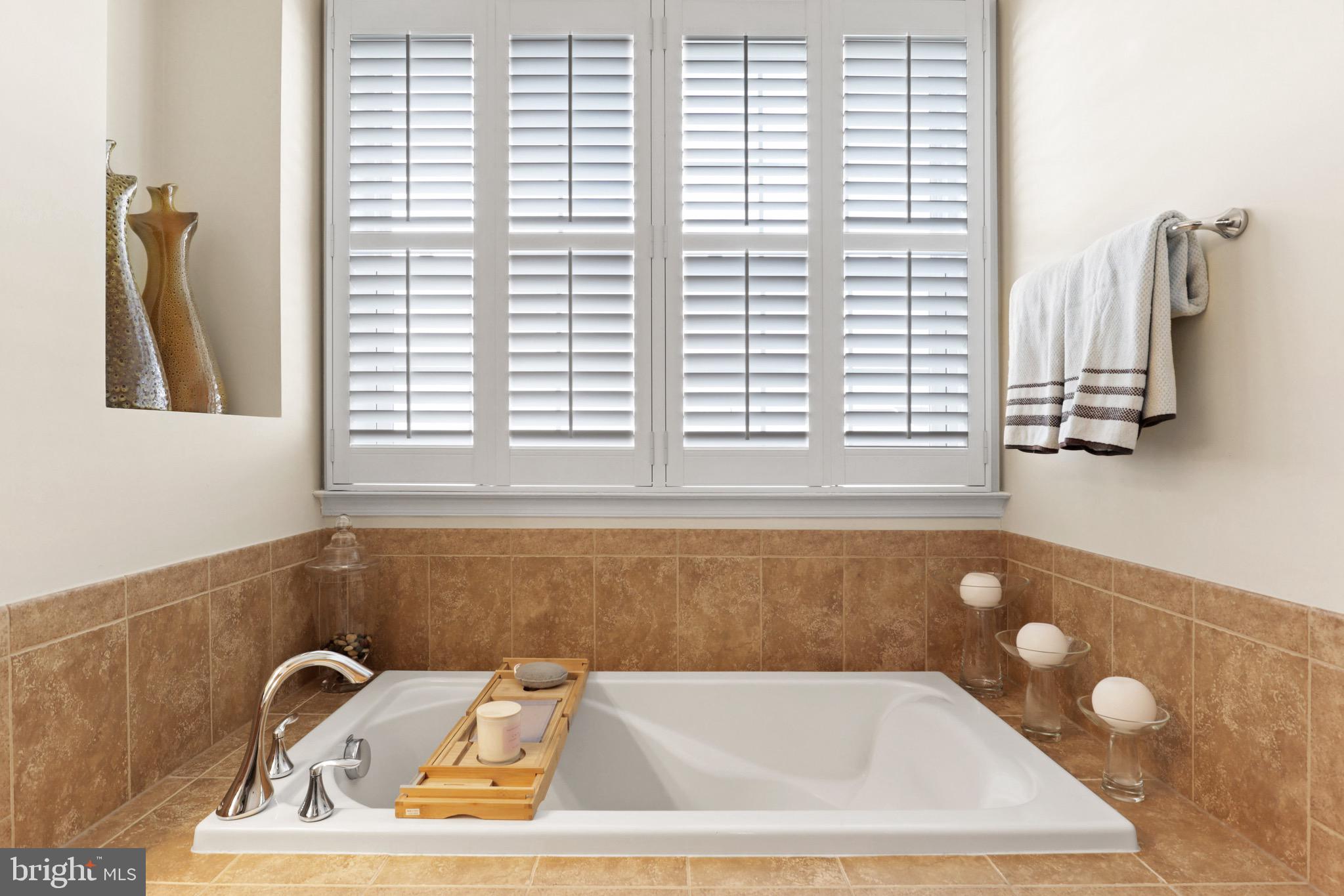 43589 McDowell Square Leesburg, VA 20176 - Photo 30 of 47 Soaking Tub