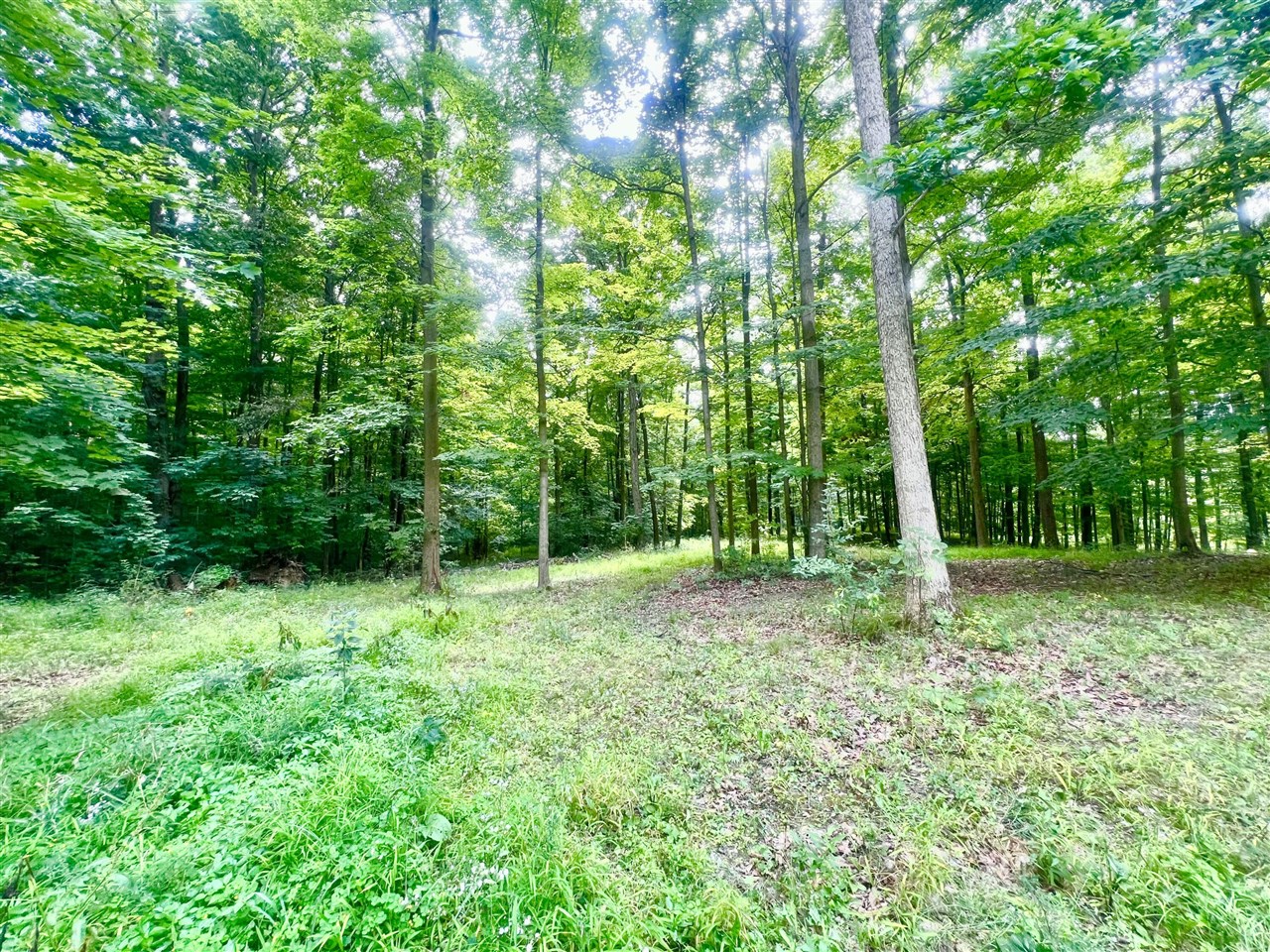 2201 South Sand Lake Road Hillsdale, MI 49242 - Photo 11 of 32