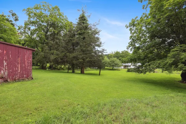 a view of a field of grass and trees