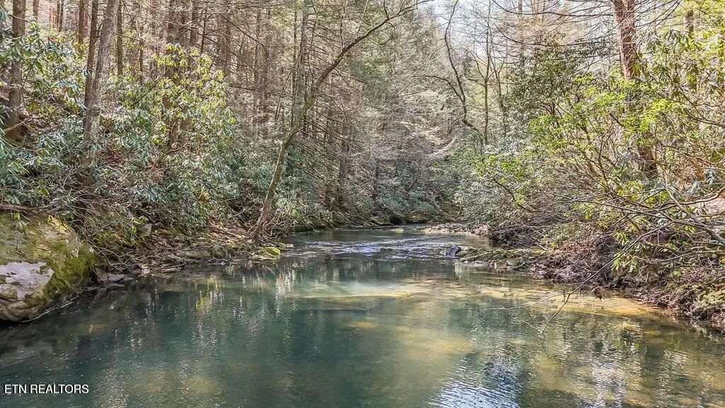 Twin Bridge Road Deer Lodge, TN 37726 - Photo 28 of 30 20250406131345813220000000-o