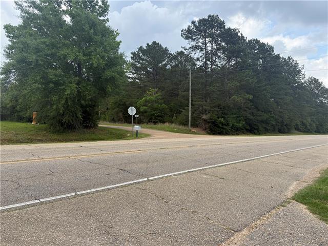 Tbd Halbert Road Amite, LA 70422 - Photo 2 of 7