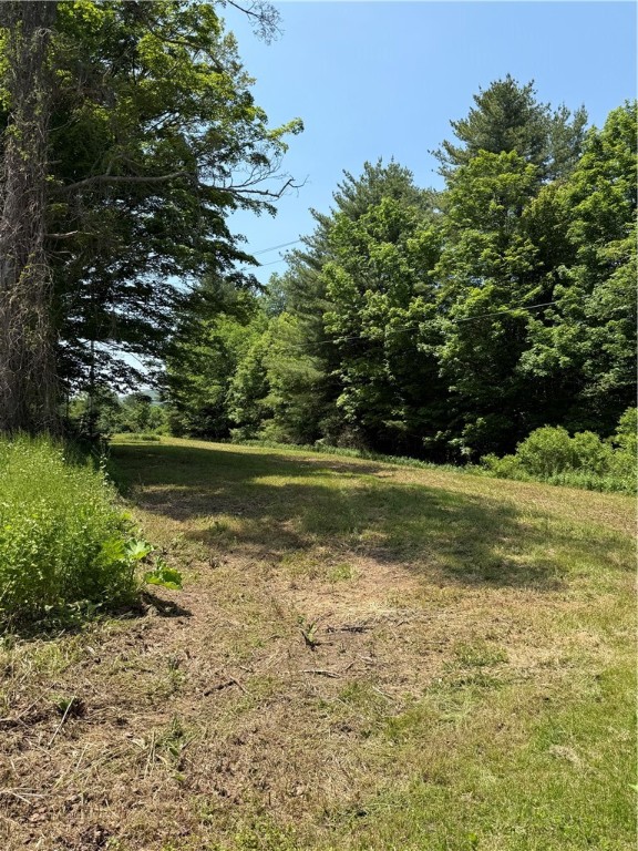 1045 Covered Bridge Road Sidney, NY 13849 - Photo 37 of 43 Bldg Lot