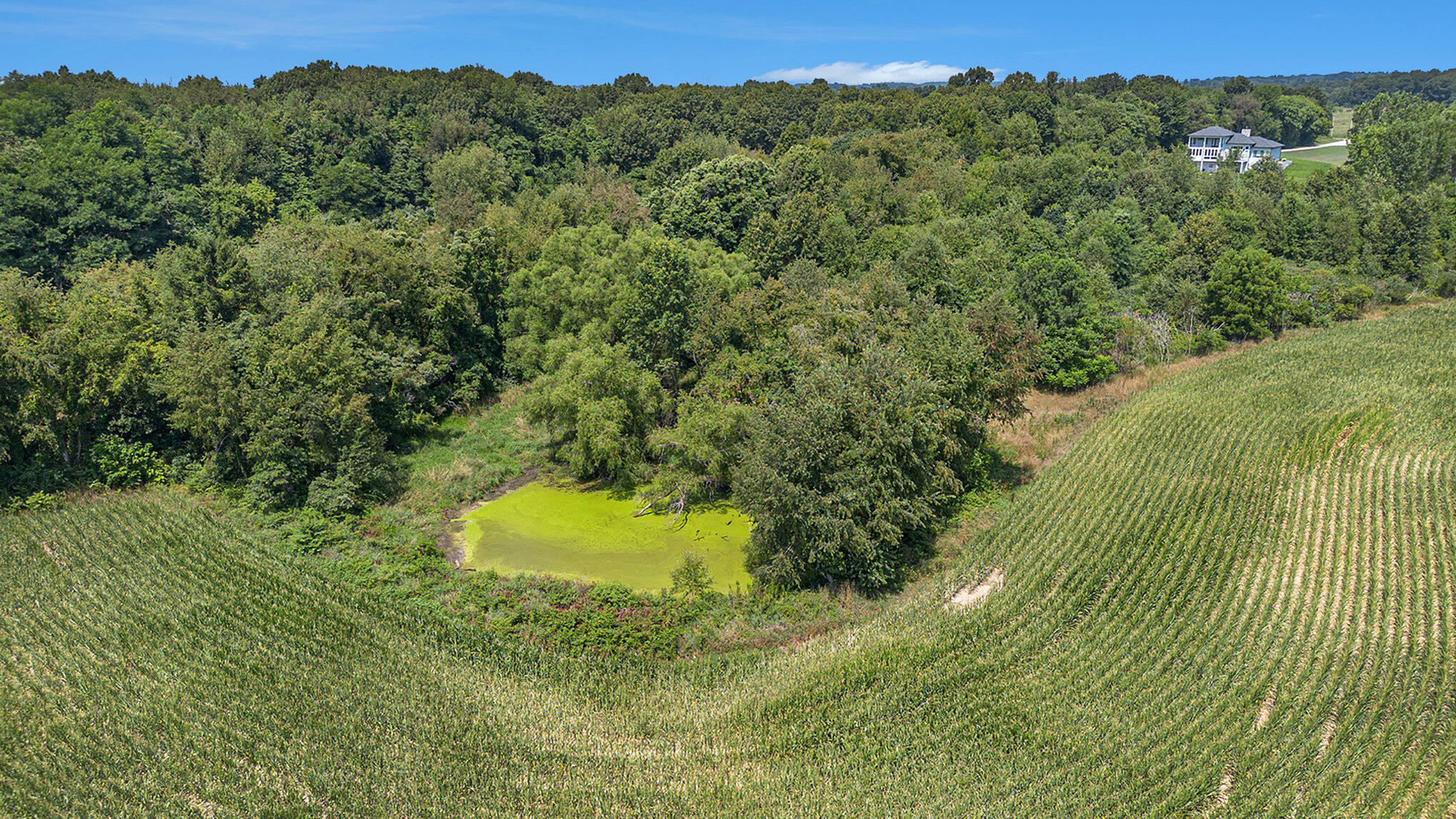 6525 Territorial Road Benton Harbor, MI 49022 - Photo 11 of 16 006_dji_0927_784