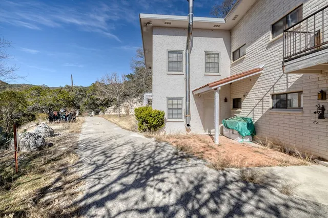 a view of a yard with plants and trees