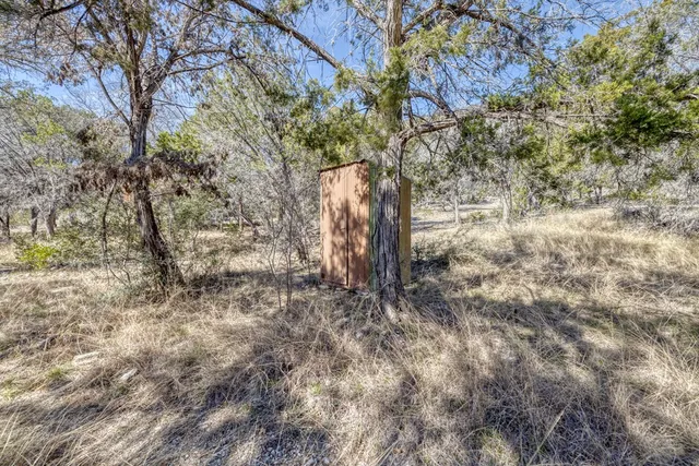 a view of a yard with a tree