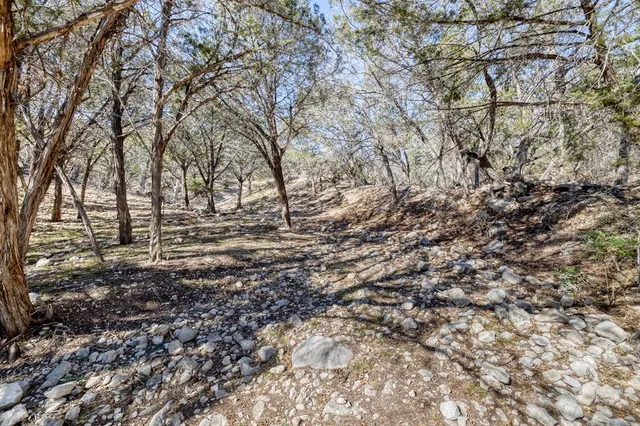 a view of a yard with trees