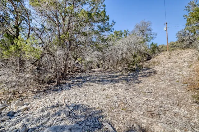 a view of a yard with a tree