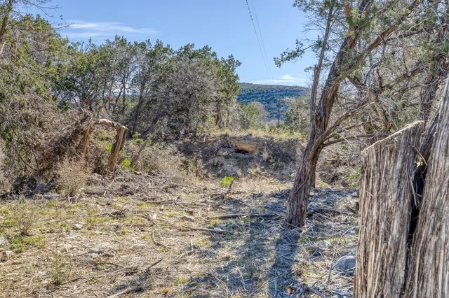 a view of a yard with an trees