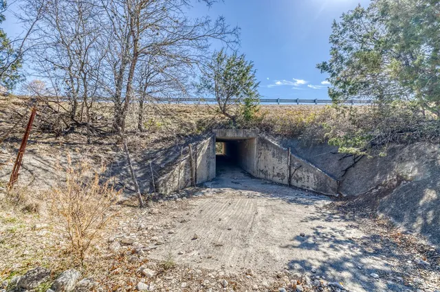 a big room with trees in front of it