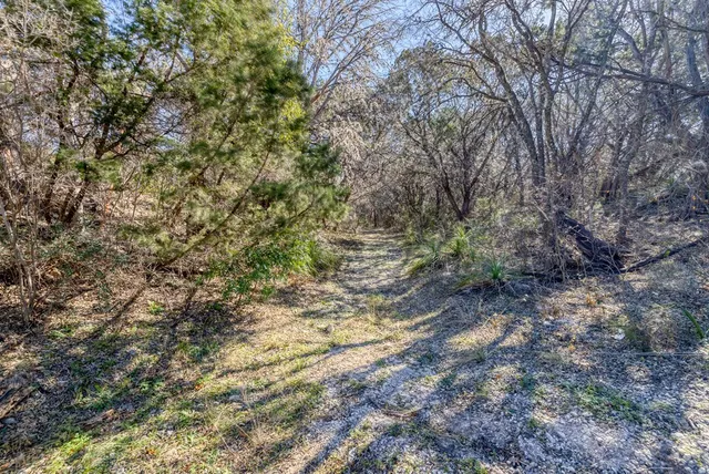 a view of a backyard of the house
