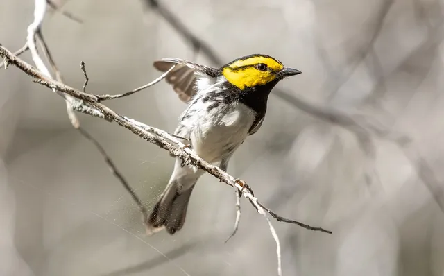 $1,000,000 | 6501 North N Highway, Leakey, TX 78873