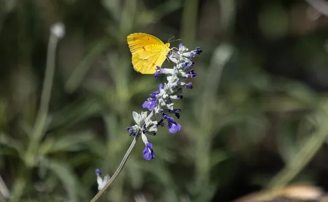 $1,000,000 | 6501 North N Highway, Leakey, TX 78873