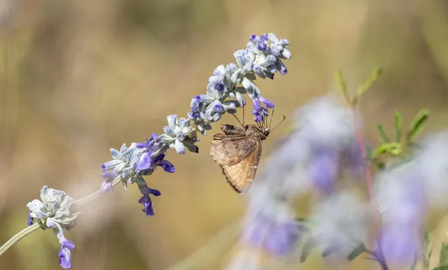 $1,000,000 | 6501 North N Highway, Leakey, TX 78873