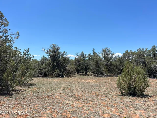 a view of a field with trees in the background