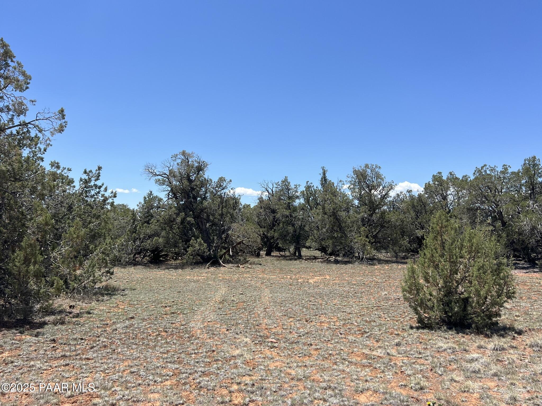 61 Norma Nw4 Road Ash Fork, AZ 86320 - Photo 2 of 6 a view of a field with trees in the background