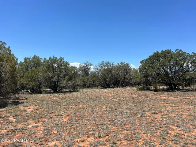 a backyard of a house with trees