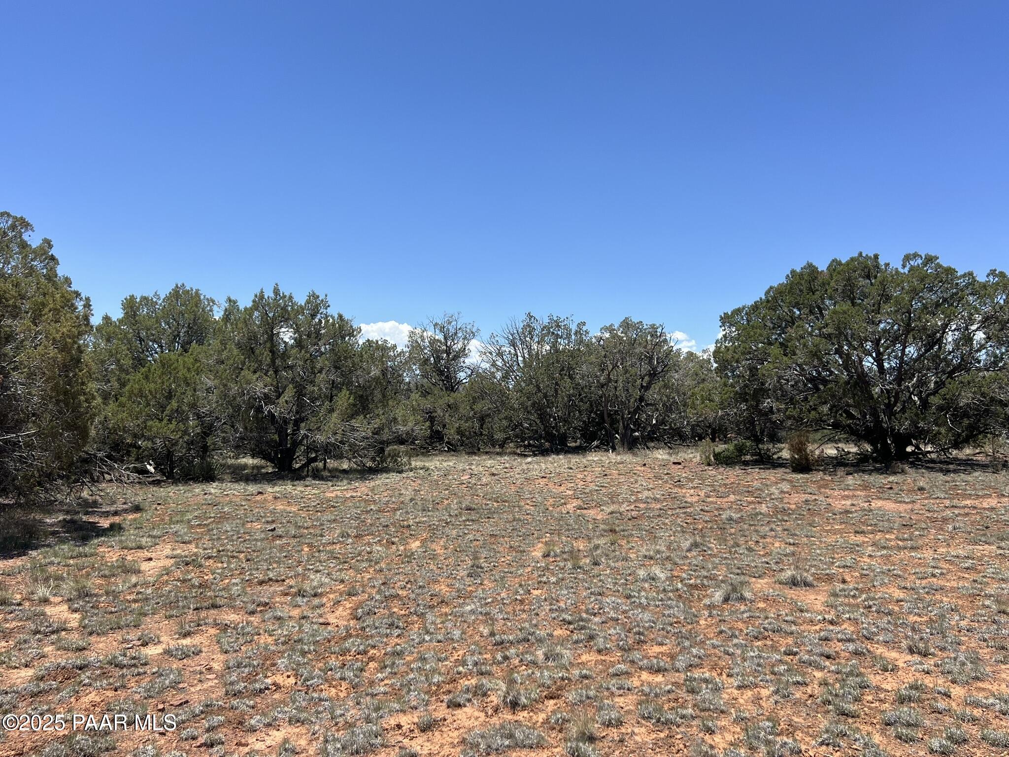 61 Norma Nw4 Road Ash Fork, AZ 86320 - Photo 3 of 6 a backyard of a house with trees