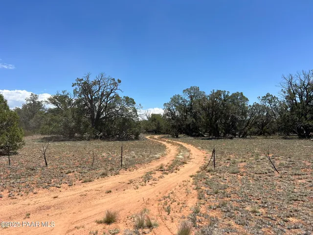 a view of yard with trees