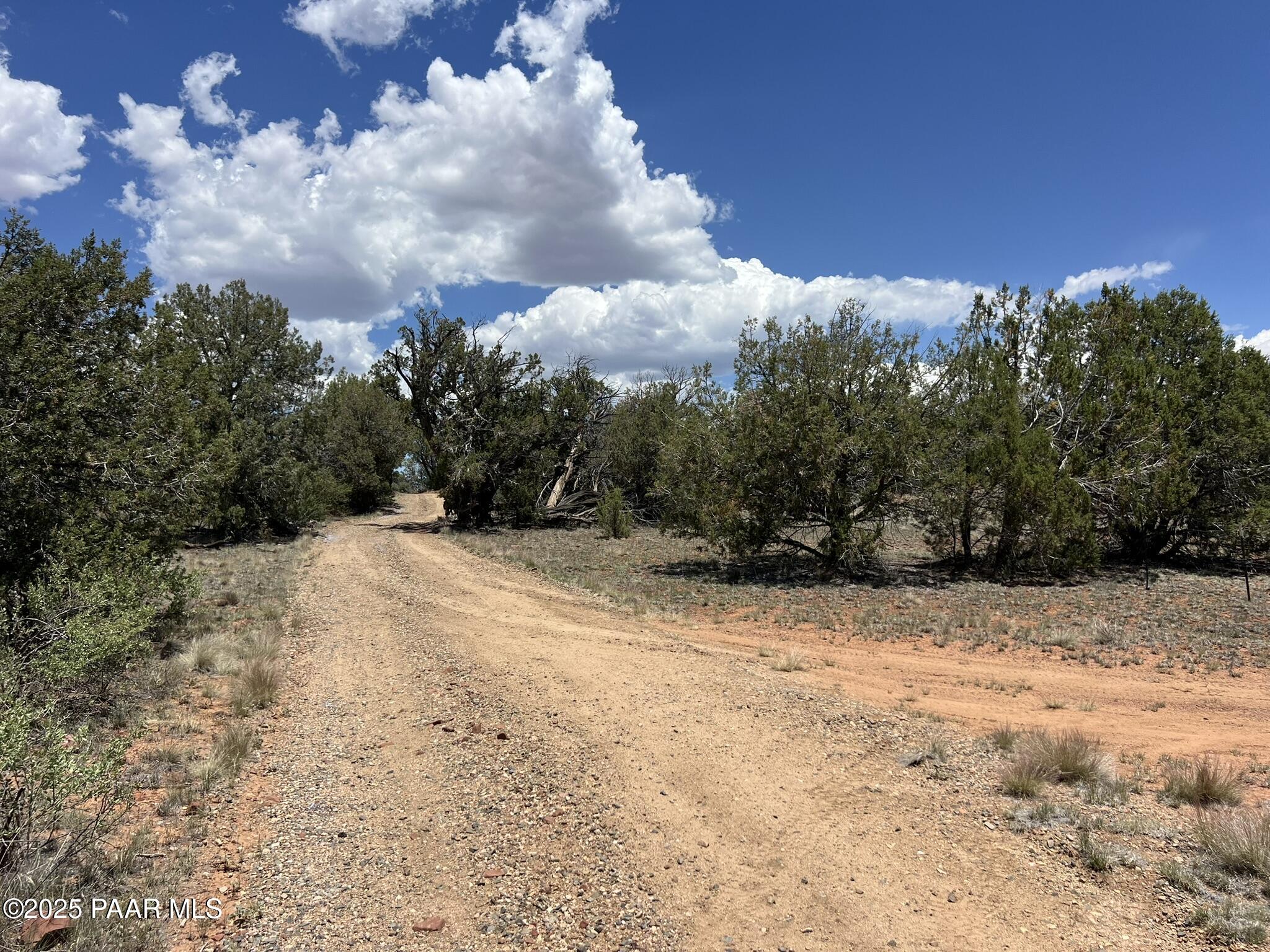 61 Norma Nw4 Road Ash Fork, AZ 86320 - Photo 5 of 6 a view of mountain covered with snow