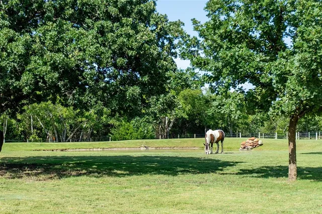 a view of park with trees