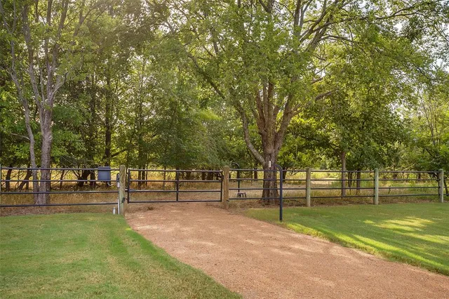 a view of a house with a yard and large trees