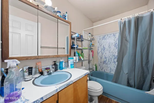 a bathroom with a sink a toilet and shower curtain