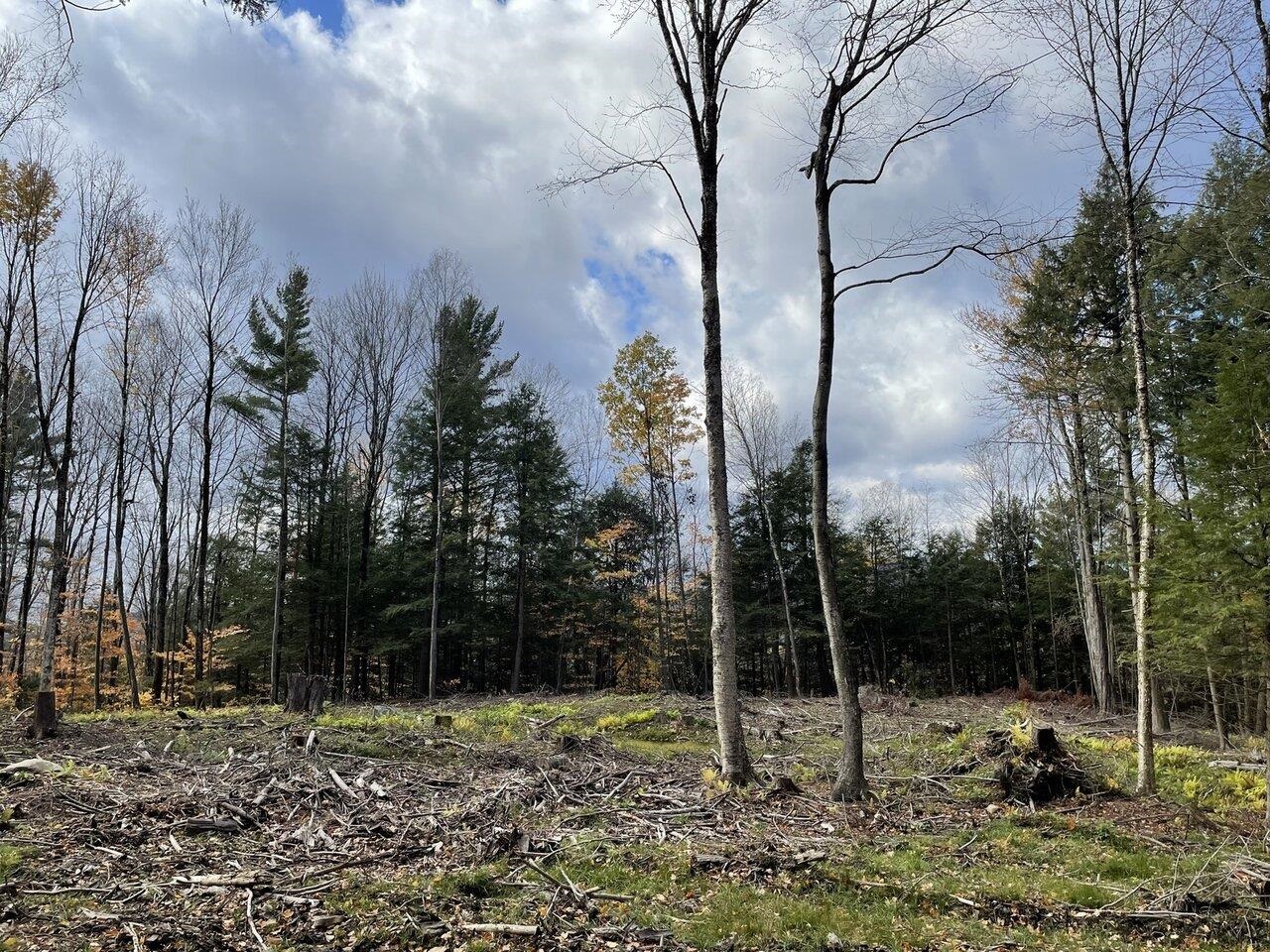 Tbd Ireland Road Starksboro, VT 05487 - Photo 5 of 14
