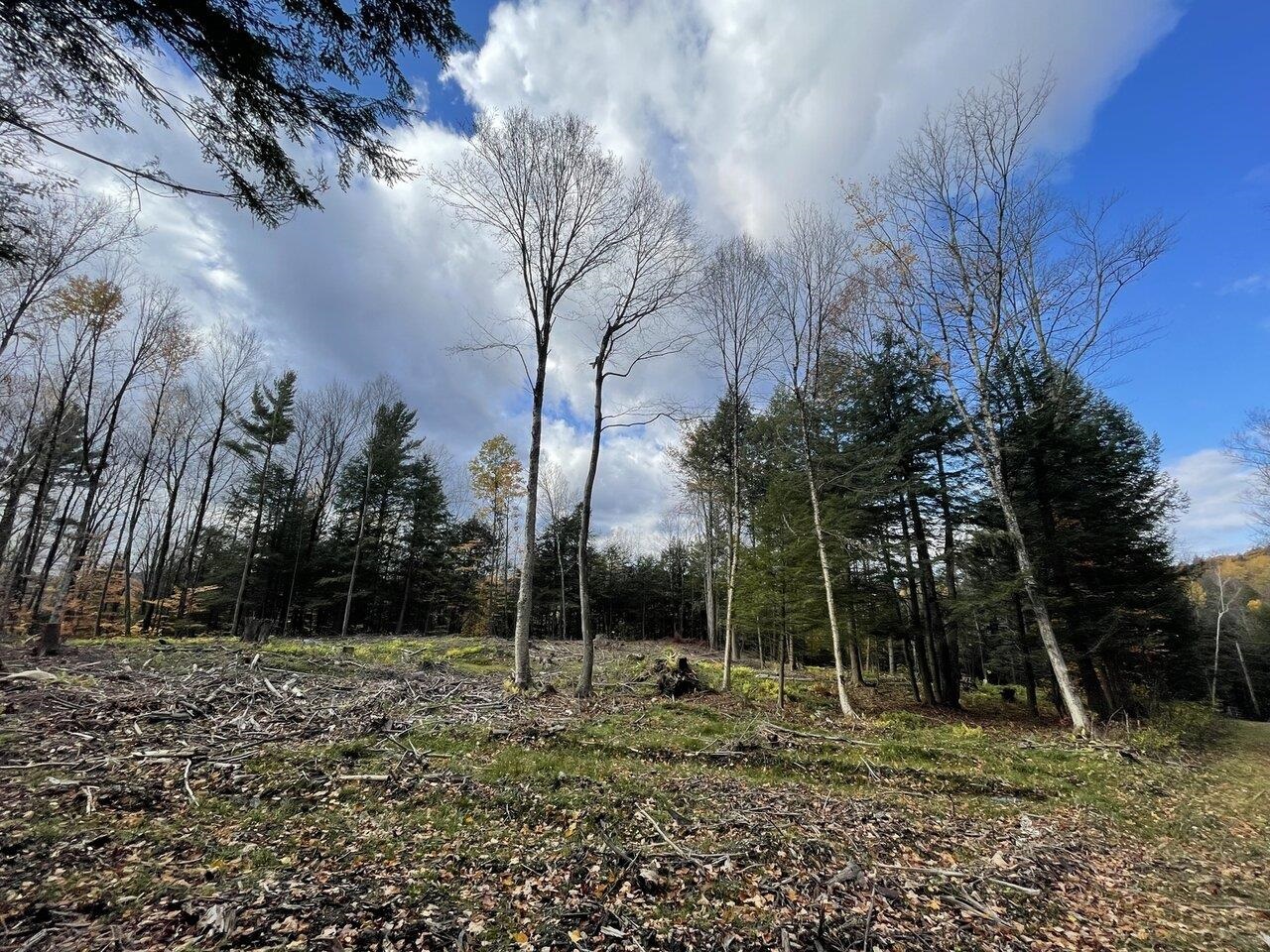 Tbd Ireland Road Starksboro, VT 05487 - Photo 7 of 14