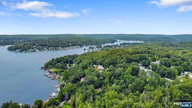 an aerial view of green landscape with trees houses and lake view