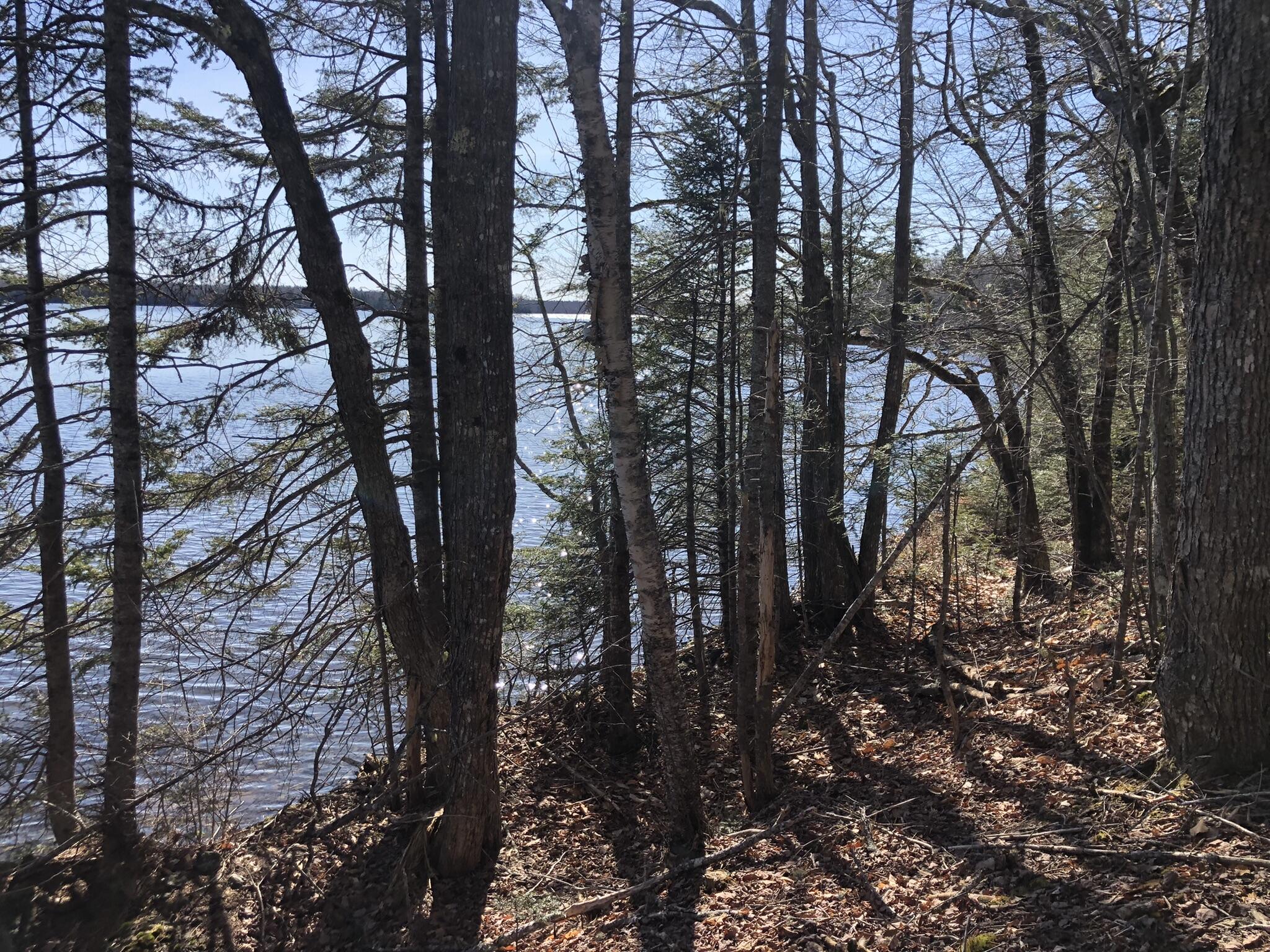 Tbd Roy's Way Perry, ME 04667 - Photo 8 of 20 C76EB849-06FE-495C-8CFB-FC39EBDD537F