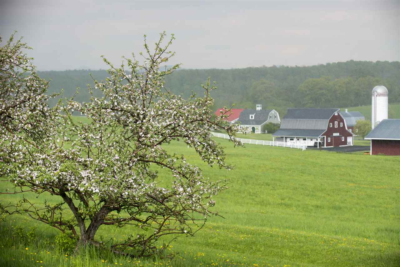 1623 Buttolph Road Shoreham, VT 05778 - Photo 3 of 32