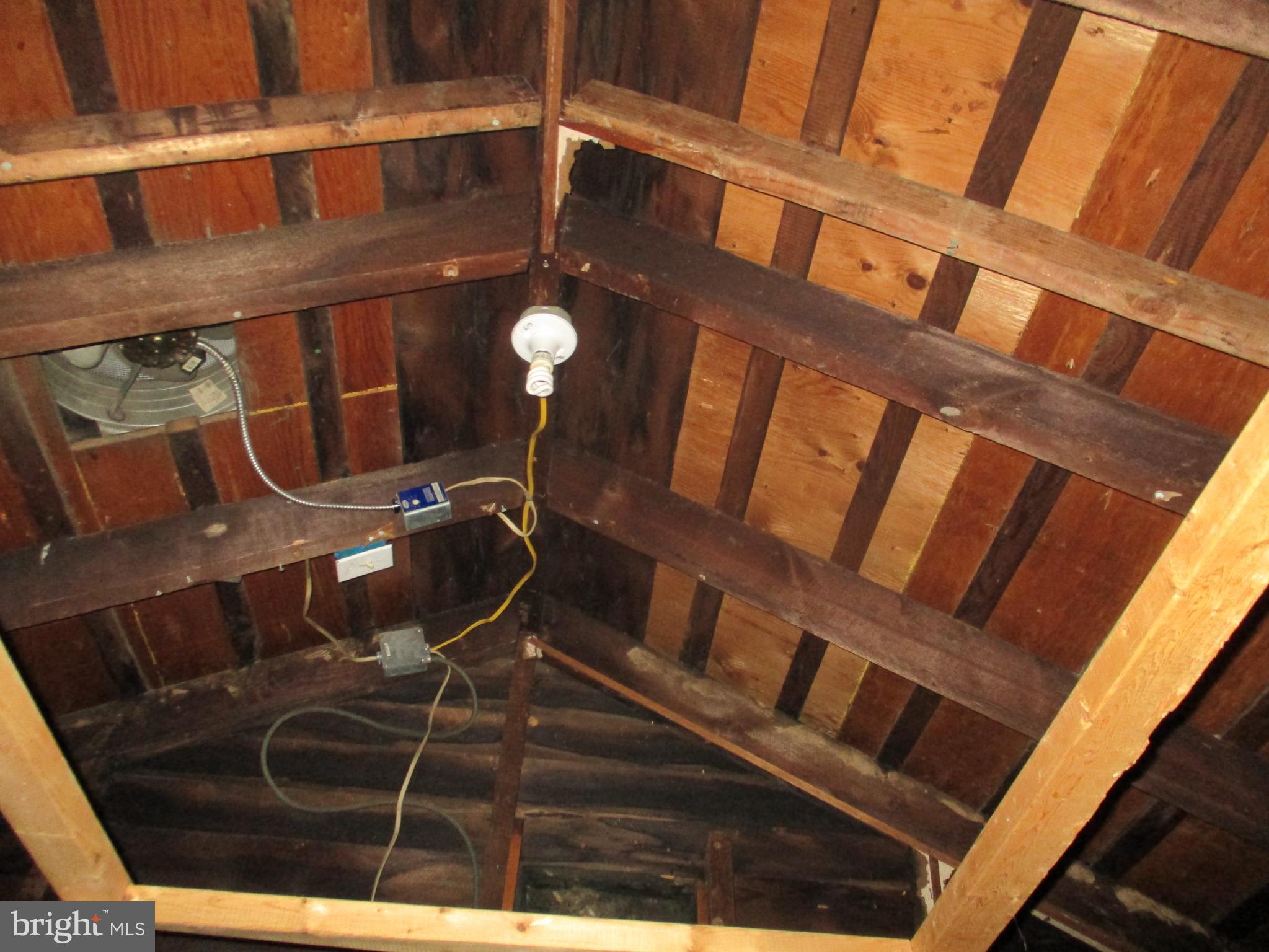 122 Hewitt Street Trenton, NJ 08611 - Photo 15 of 15