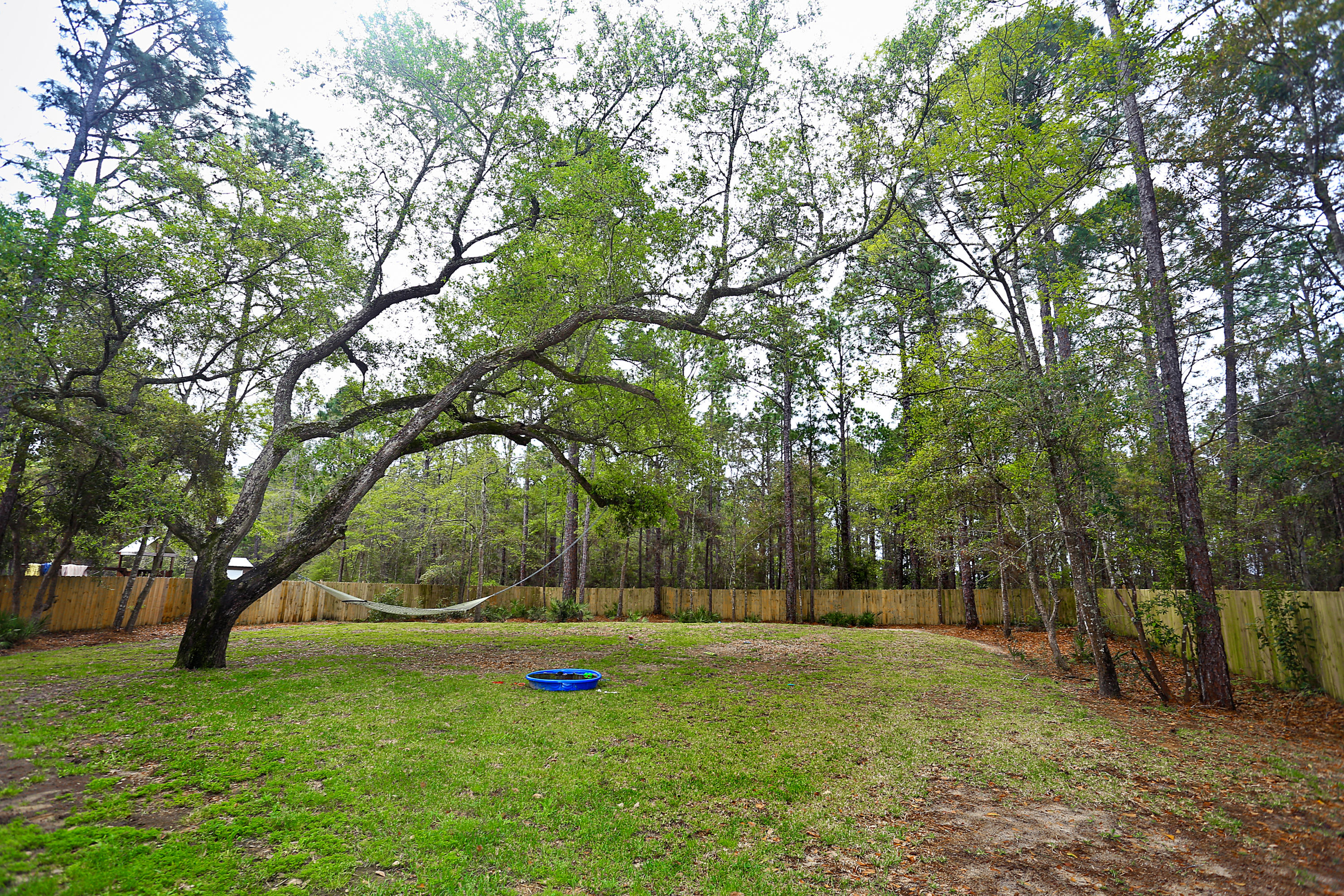 781 Bay Grove Road Freeport, FL 32439 - Photo 18 of 19 a view of a field with trees