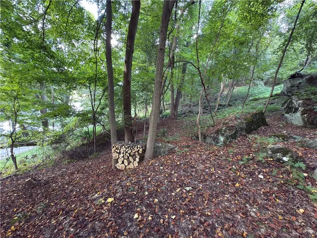 a backyard of a house with lots of green space