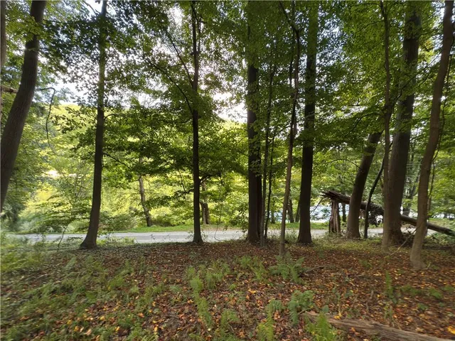a view of outdoor space and trees
