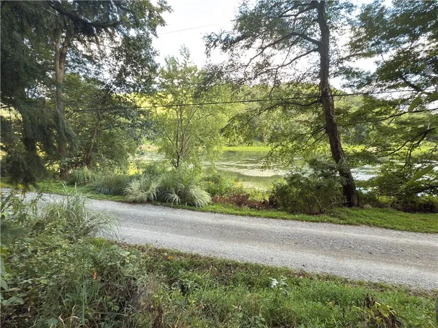 a view of a yard with plants and trees