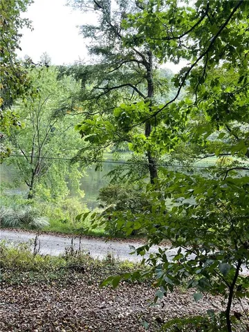 a view of a garden with a lake