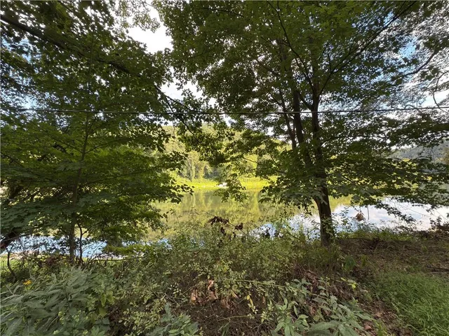 a view of a tree in a yard