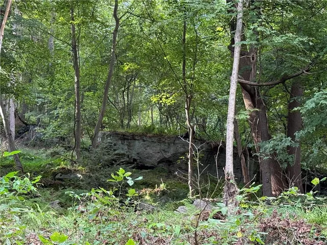 a backyard of a house with lots of green space and chair