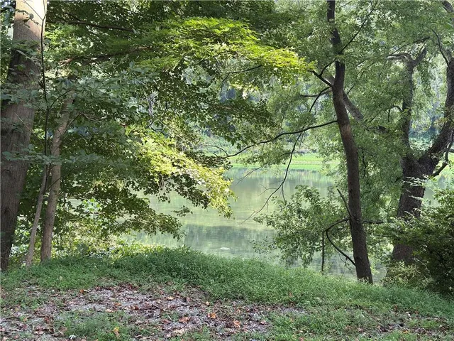a view of a garden with a tree