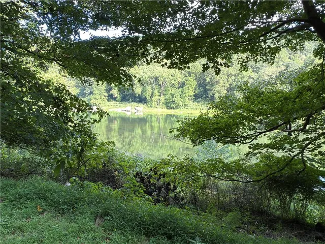 a view of a garden with a tree