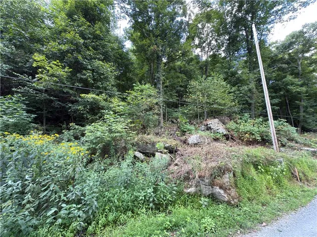 a view of a lush green forest with trees and bushes
