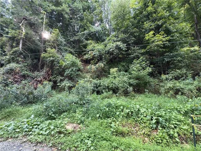 an aerial view of residential house with outdoor space and trees all around